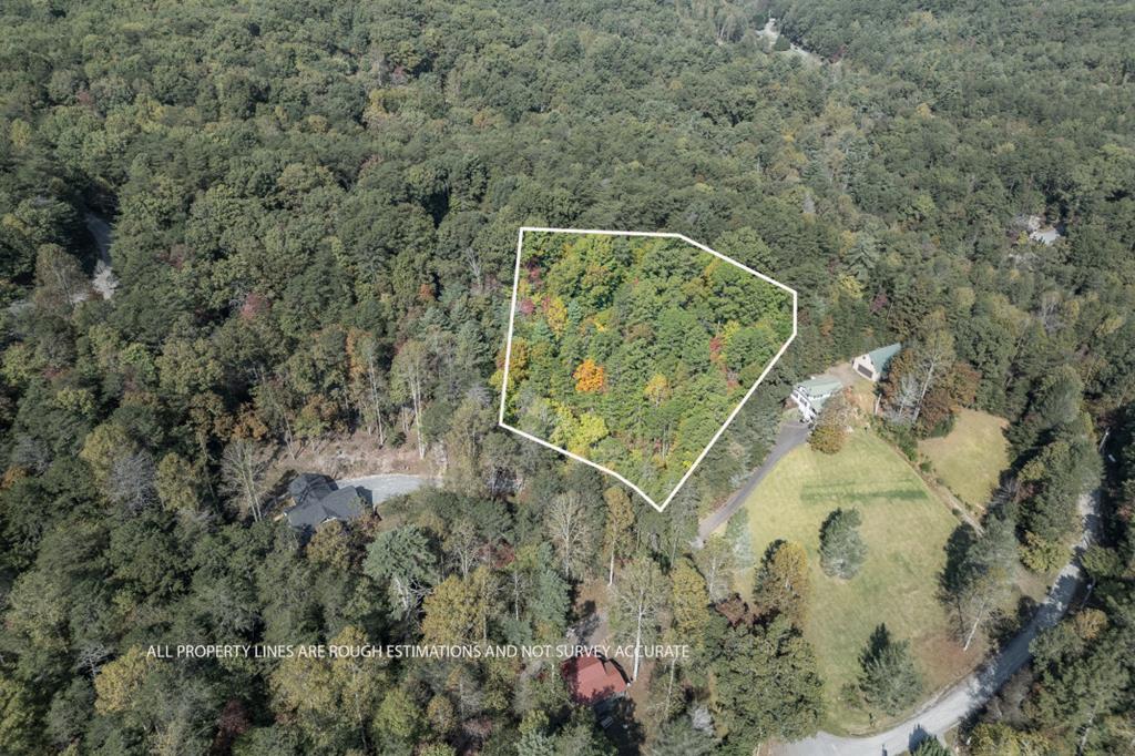 Listings for Roy Riggs