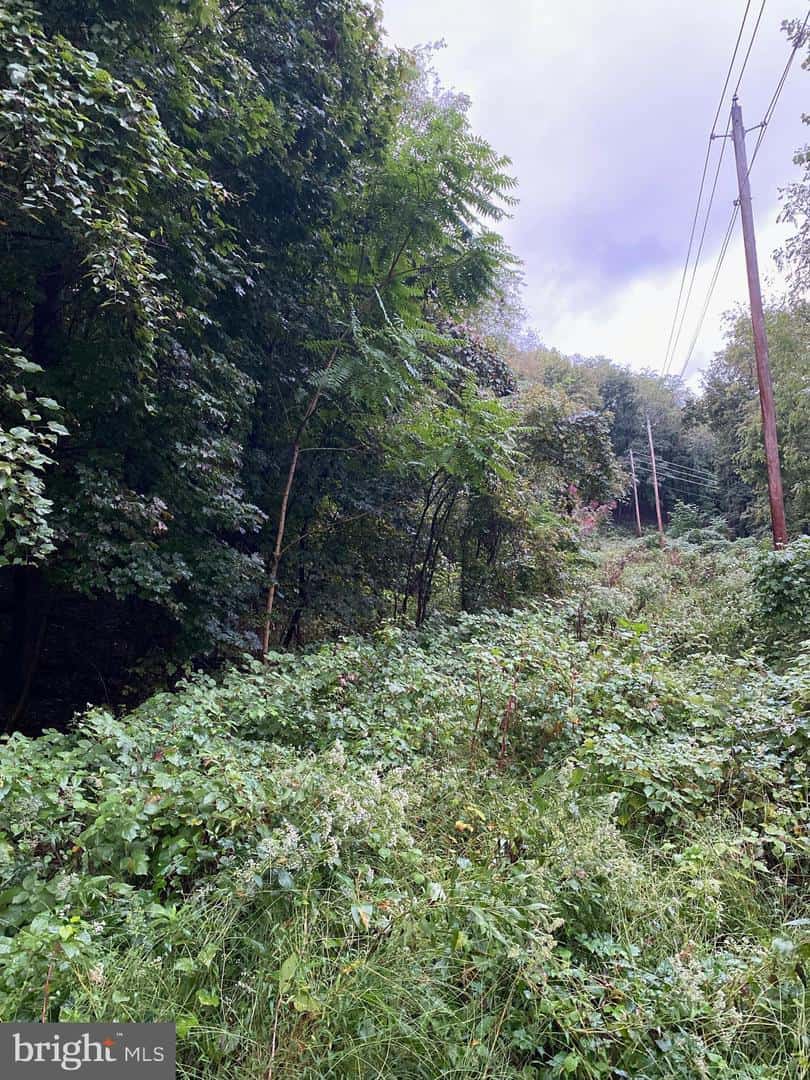 Listings for Stephanie Maddy