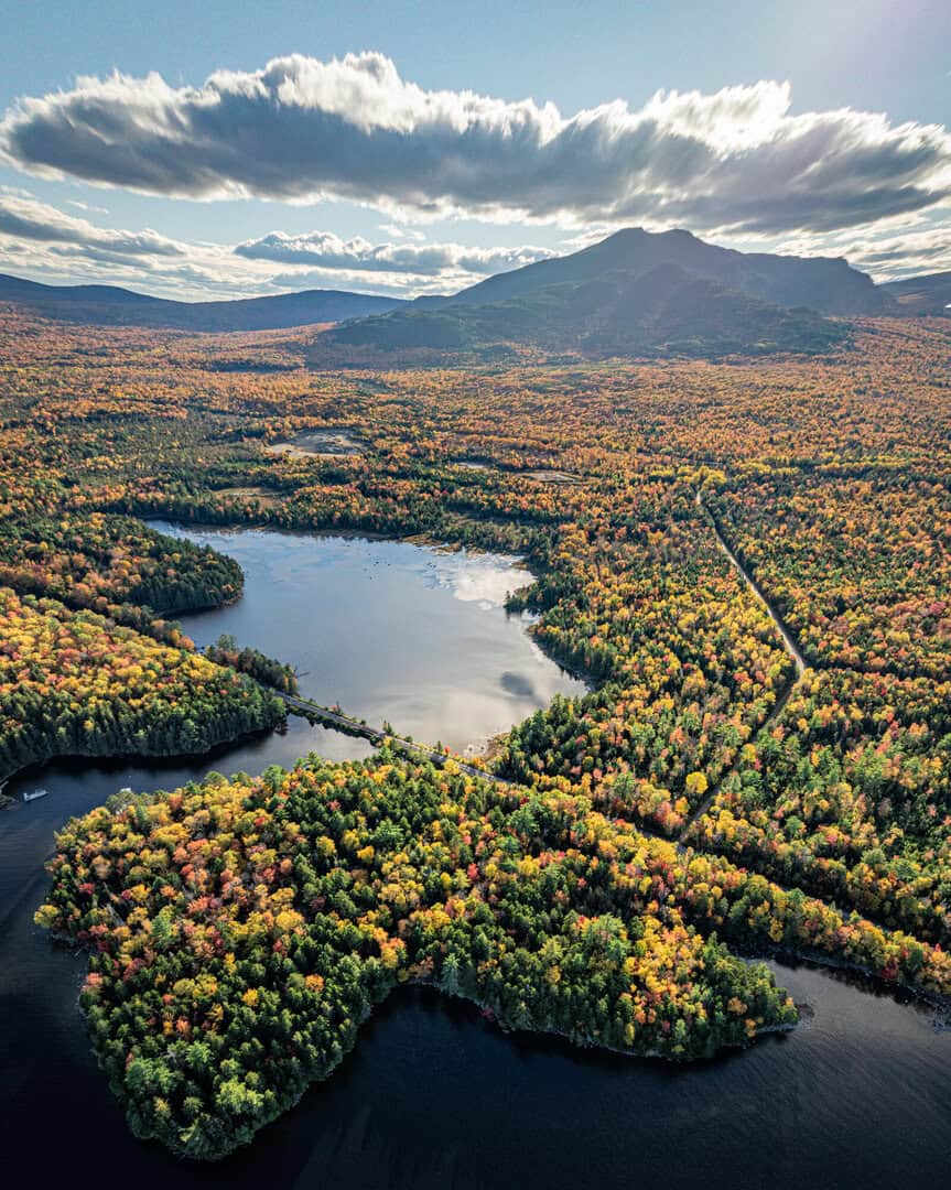 Listings for Katie  Schonewolf