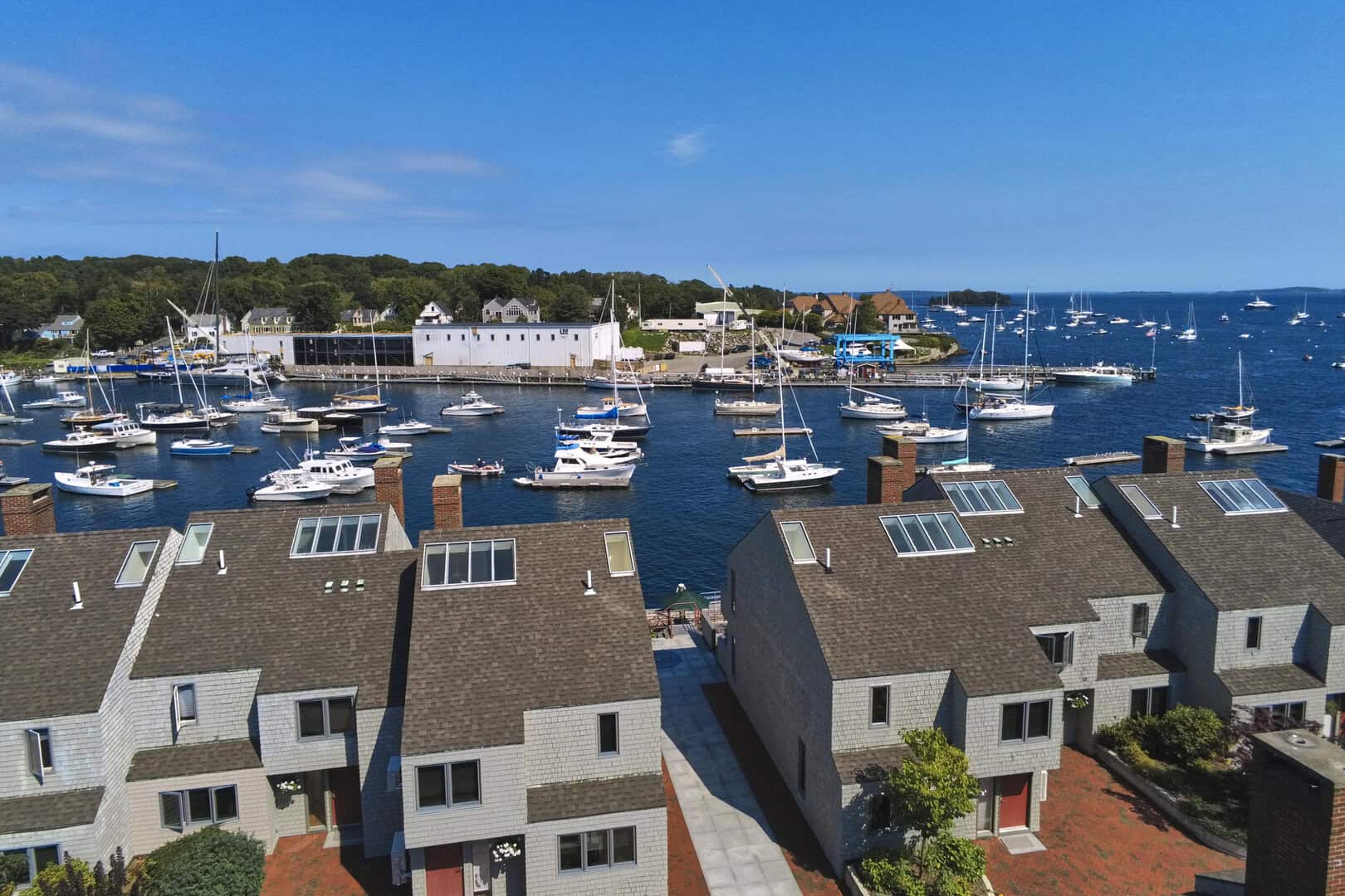 Listings for Suzanne Weiss