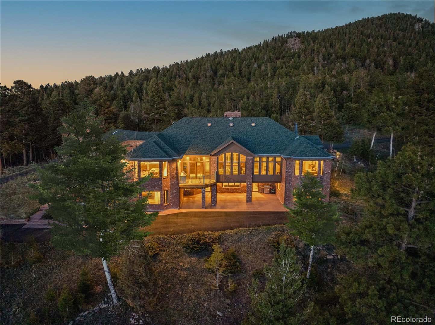 Conifer