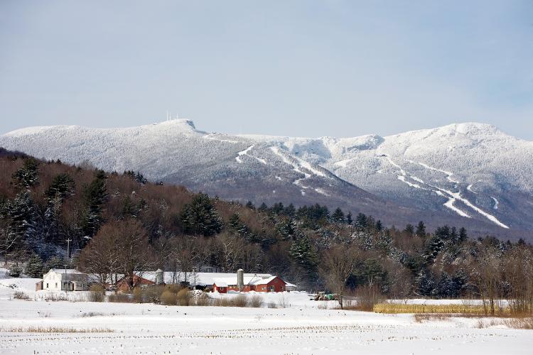 Landvest | Stowe (Slate Hill)