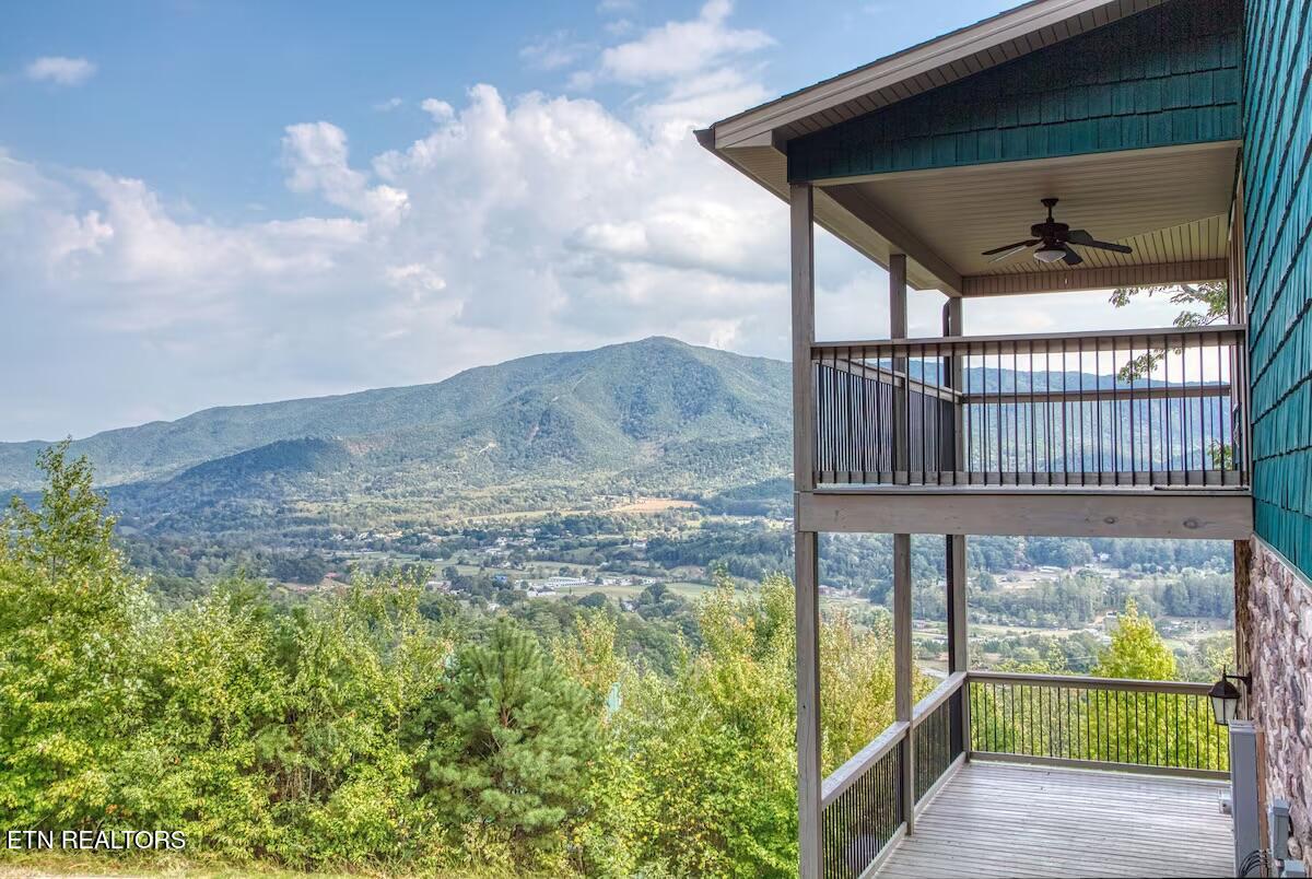 Listings for Jodi Spangler