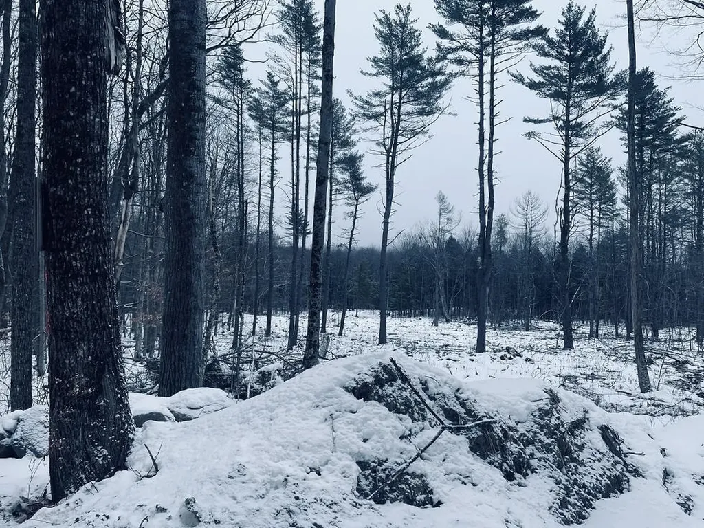 Acworth NH Land Real Estate