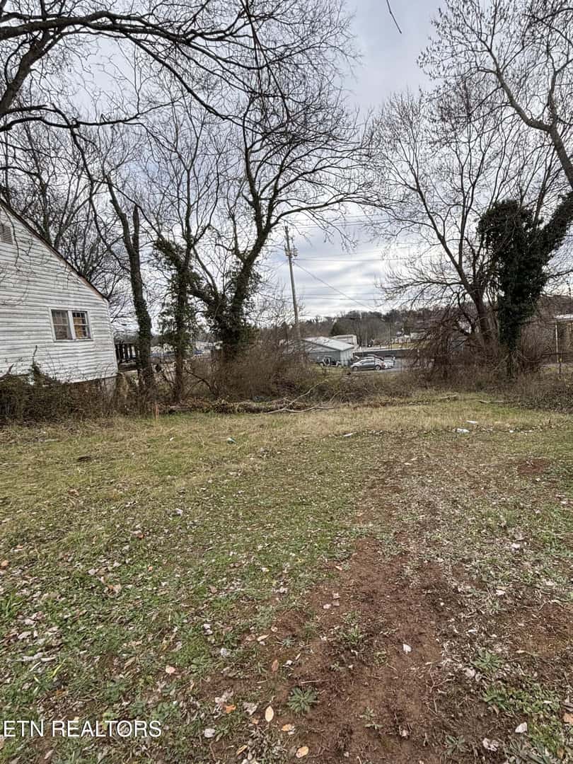 Listings for Carmen Hilburn