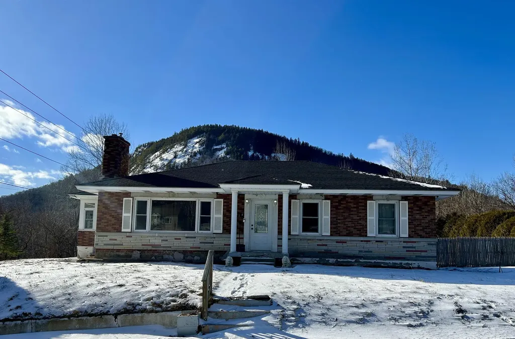 Listings for Taylor Morin