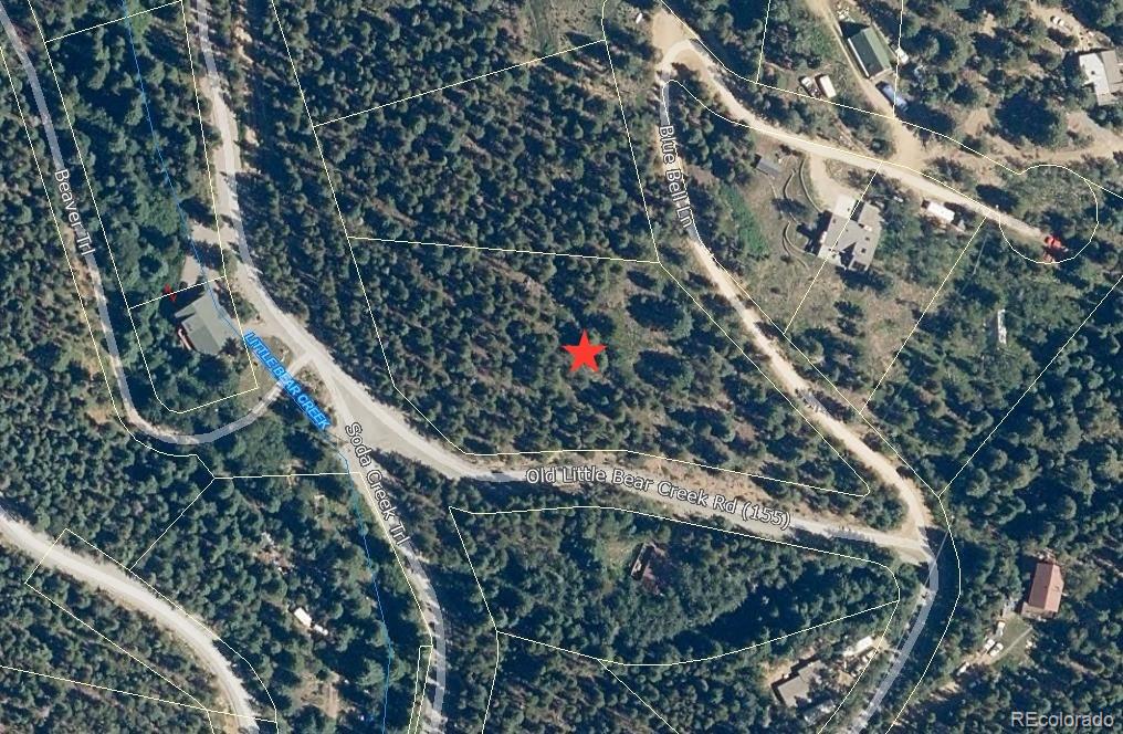 Listings for Haley Dyer