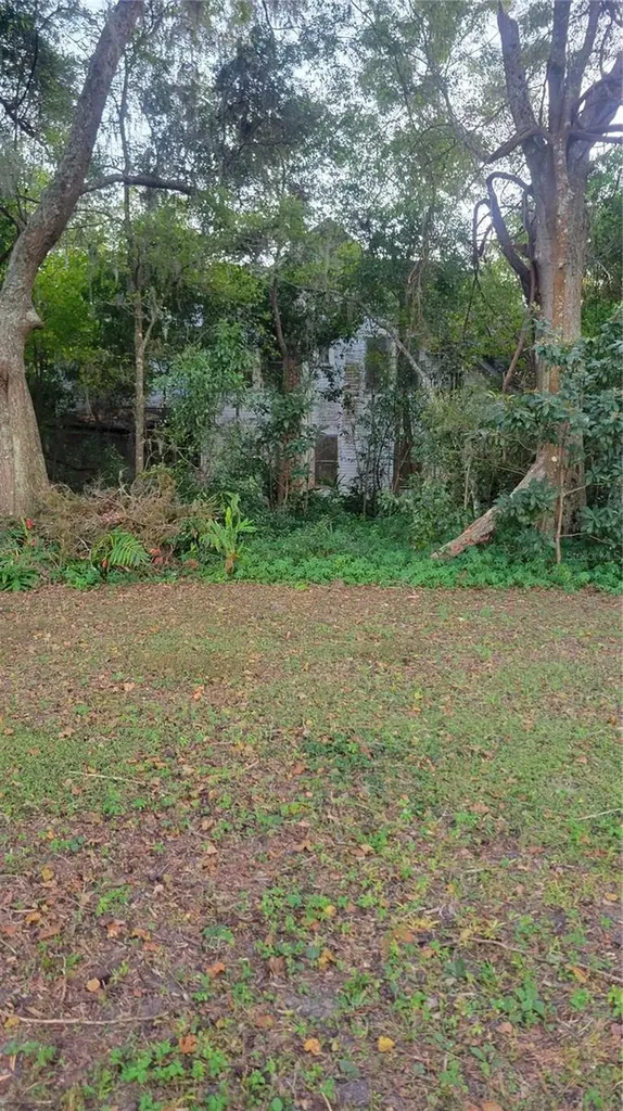 Listings for Davin Woody