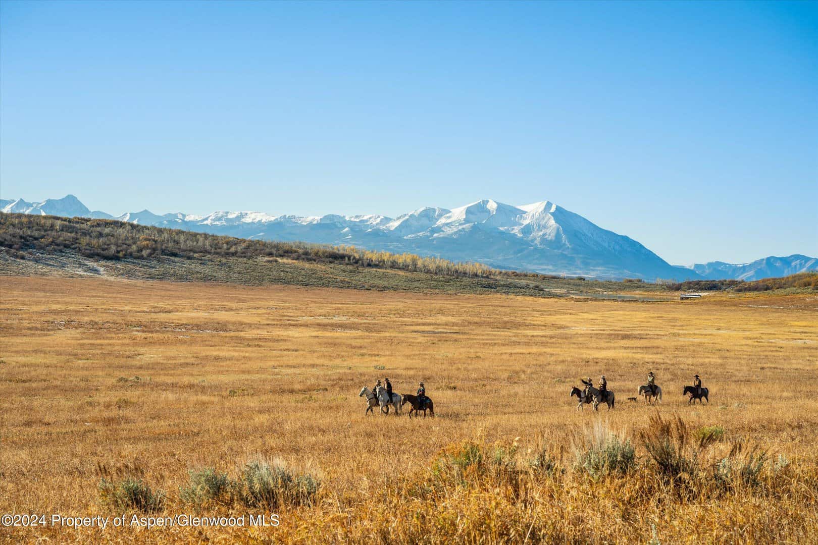 Exclusive Listings in Carbondale