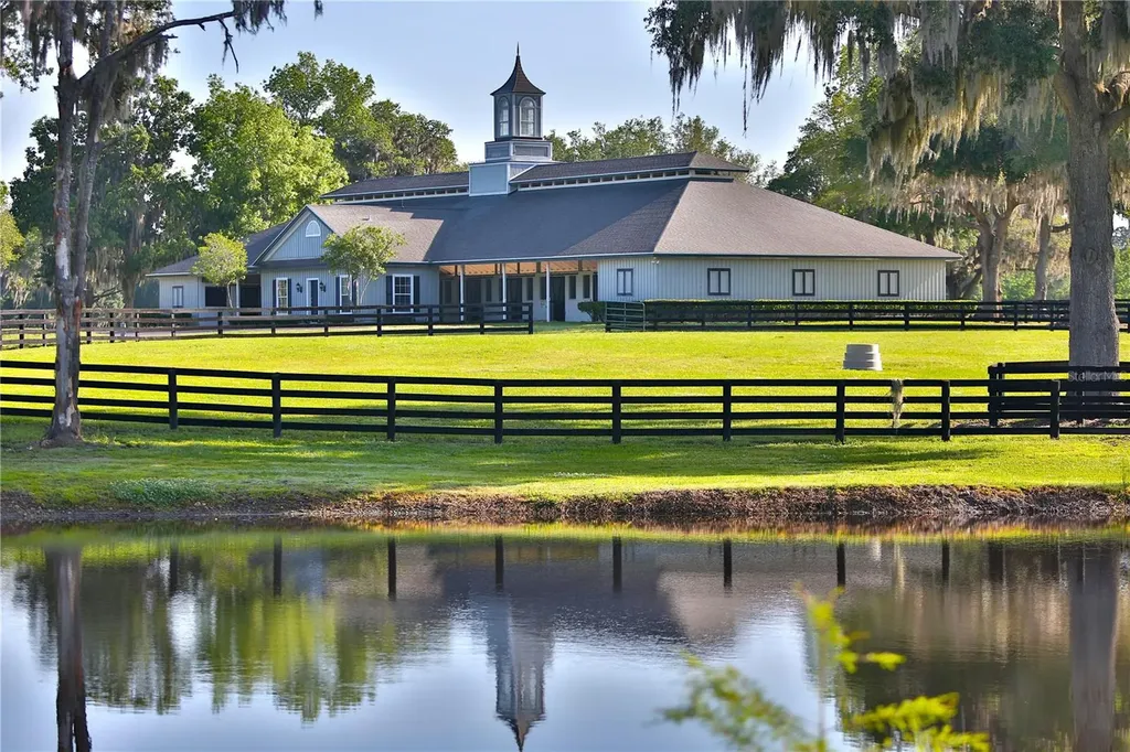 Horse Properties