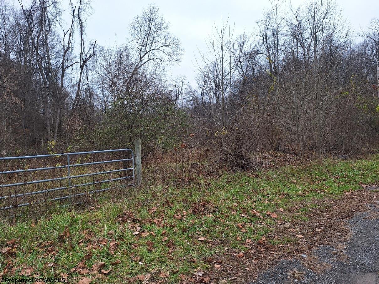 Residential Land