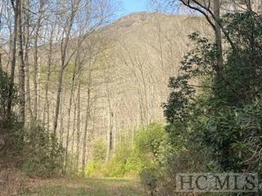 Scaly Mountain