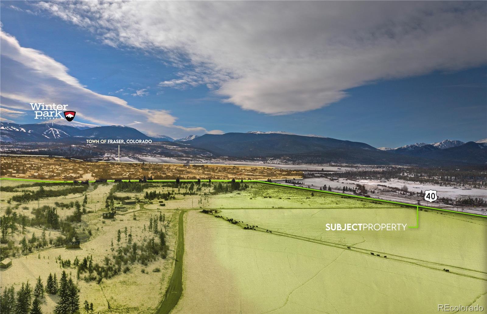 Listings for Guila Chavez