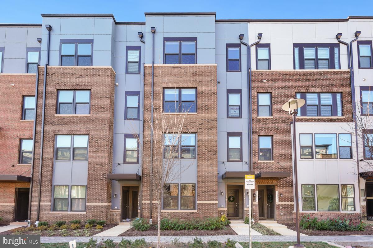 Listings for Bryan Low