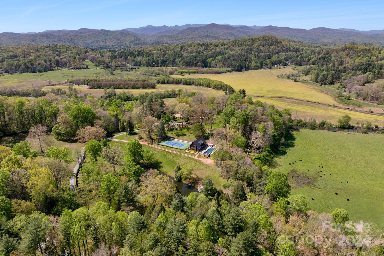 Listings for Brodie Hart