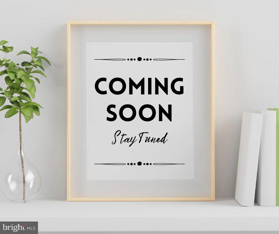 Listings for Amber Verdadero