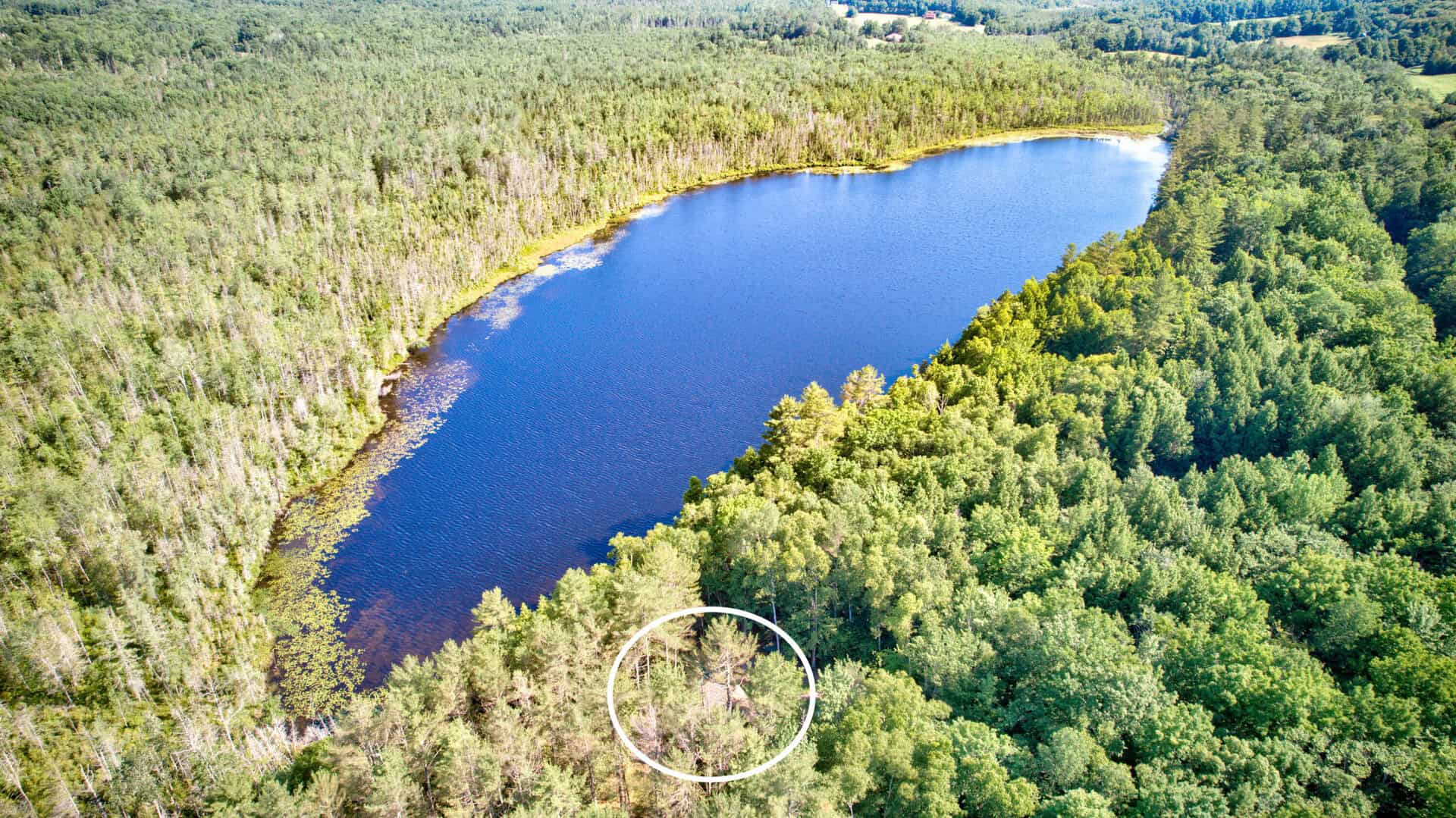 Listings for Mariya Doncheva