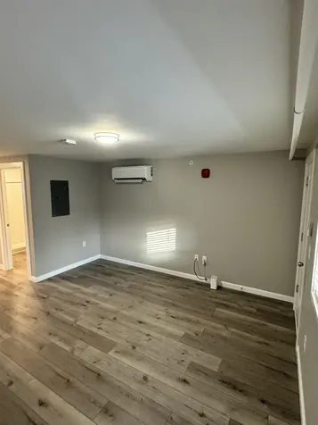 Listings for David Paolini