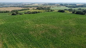 Ranch/Cattle/Feed yard