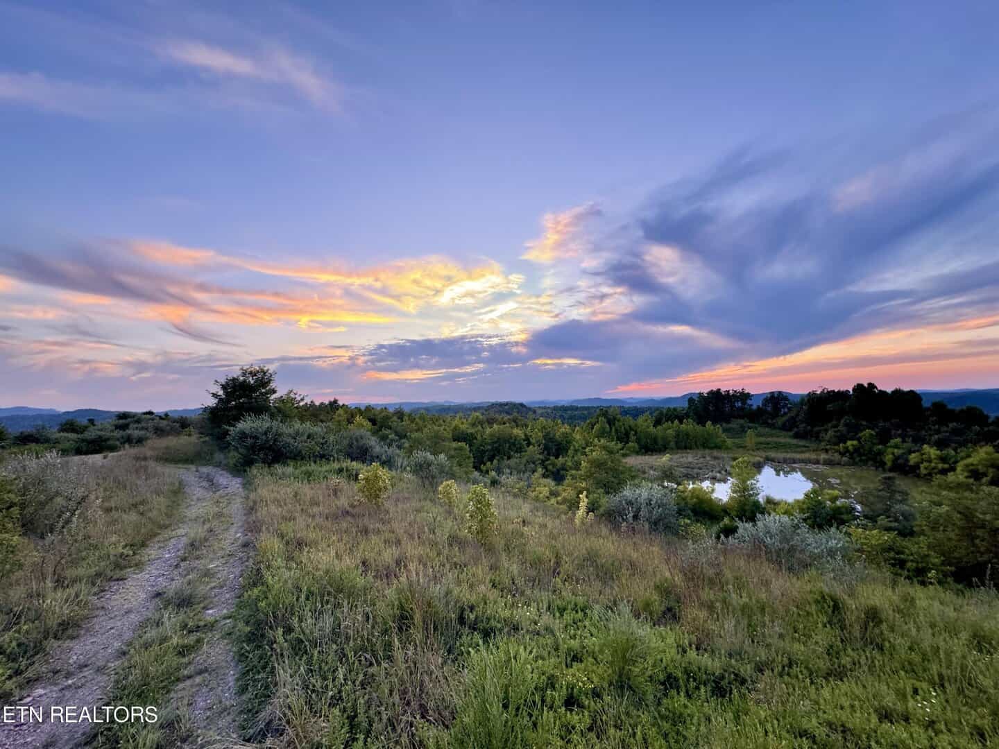Listings for Marcie Santiago