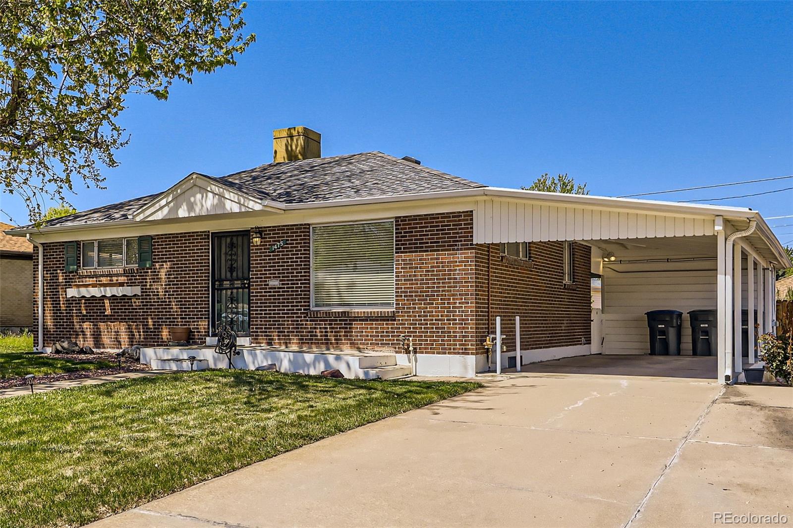 Listings for Delfino Juarez