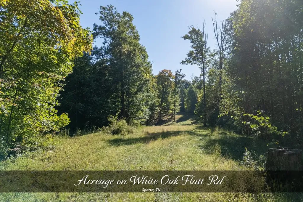 Listings for Cindy Secord