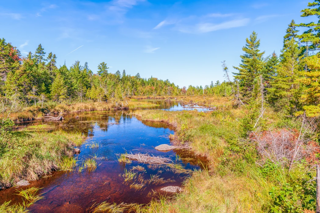 Success Township NH Real Estate