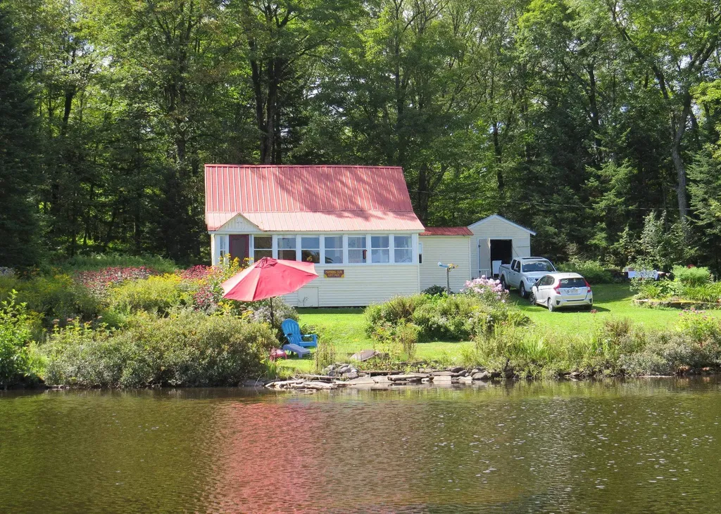 Bald Hill Pond VT