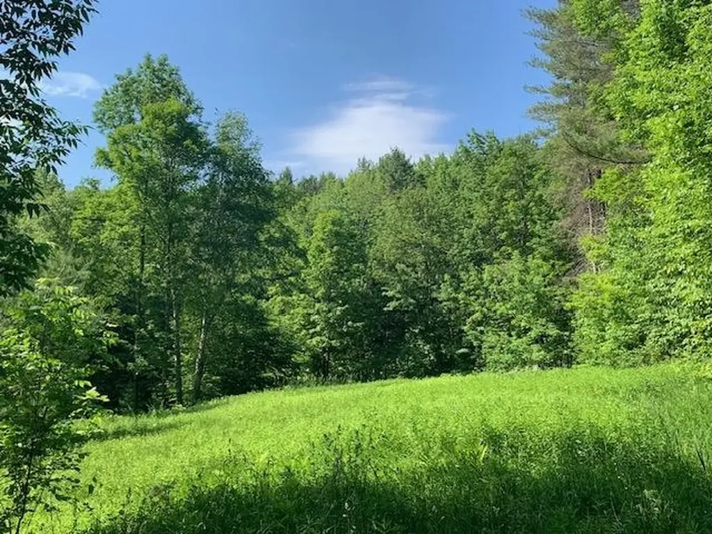 Land