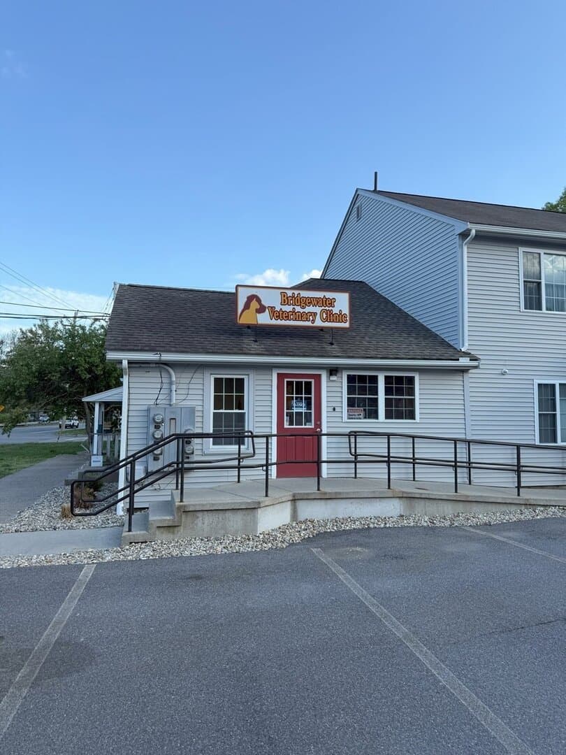 Bridgewater MA Commercial lease Real Estate