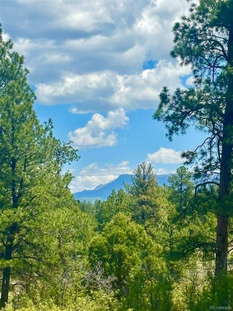 Listings for Jon Larrance