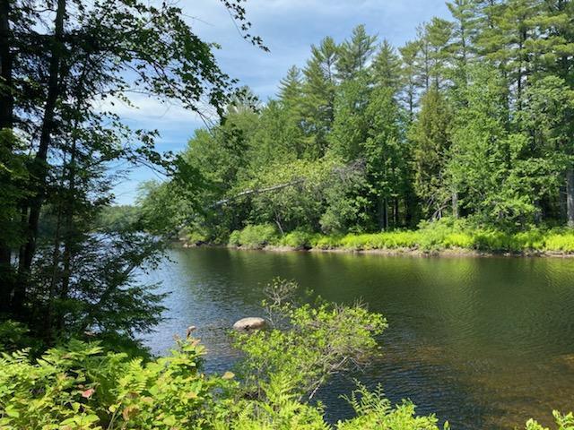 Listings for Lynn Lagasse