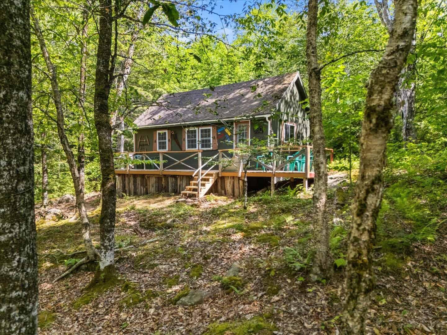 Listings for Stephanie True