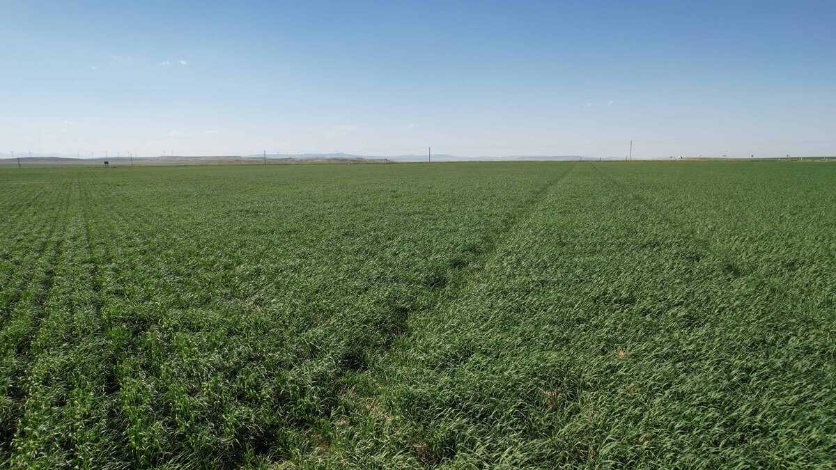 Listings for Christi Hollingshead