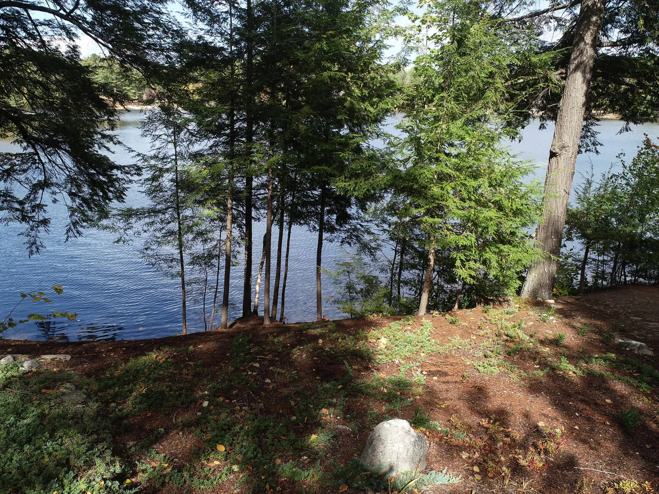 Listings for Kathi White