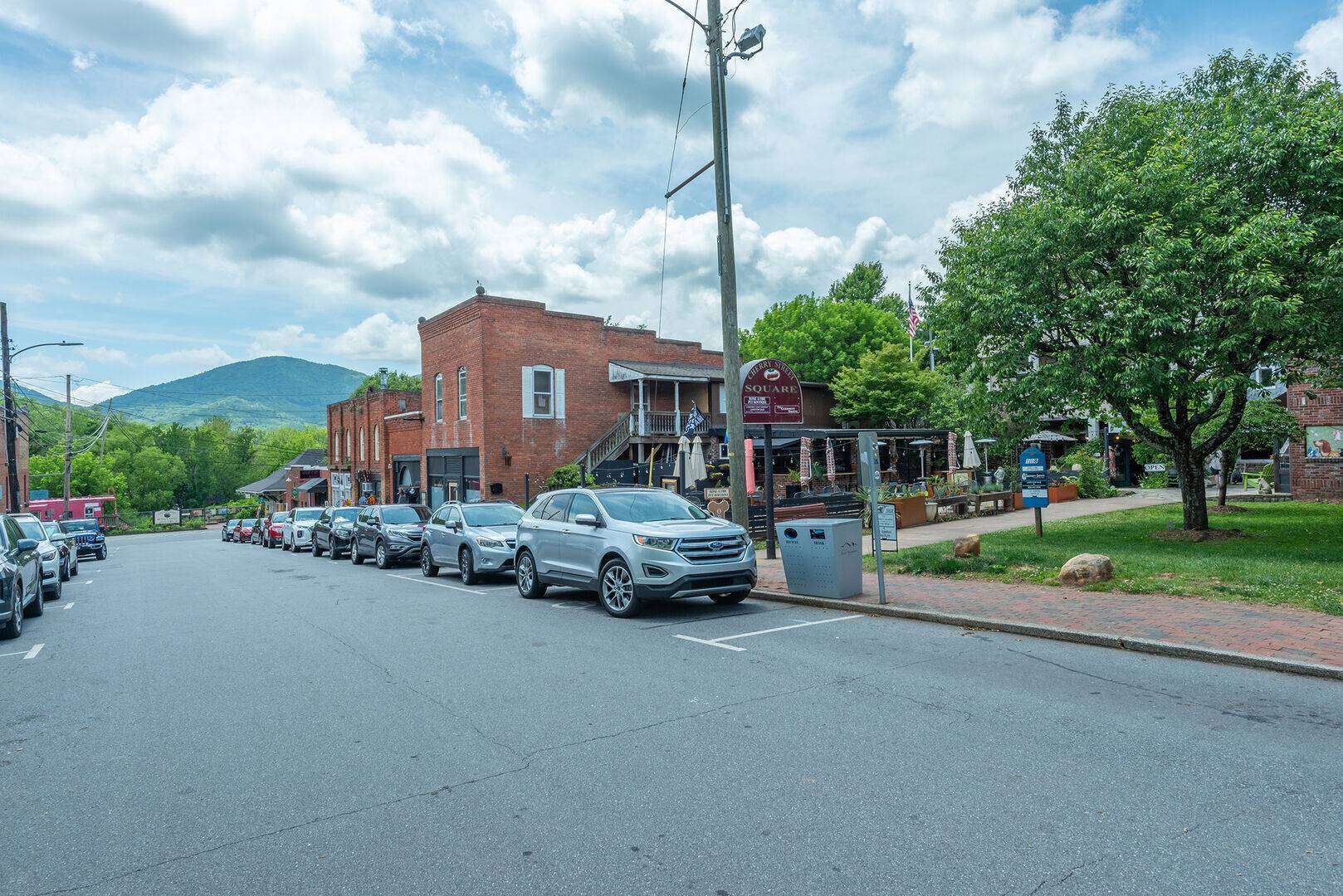 Black Mountain Homes