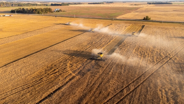 Rural Edmonton