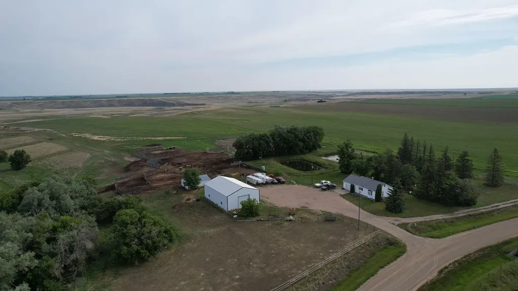 Listings for Selena Lapp