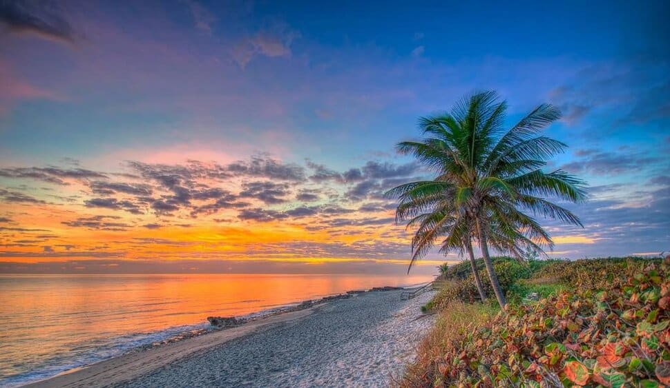 Tequesta