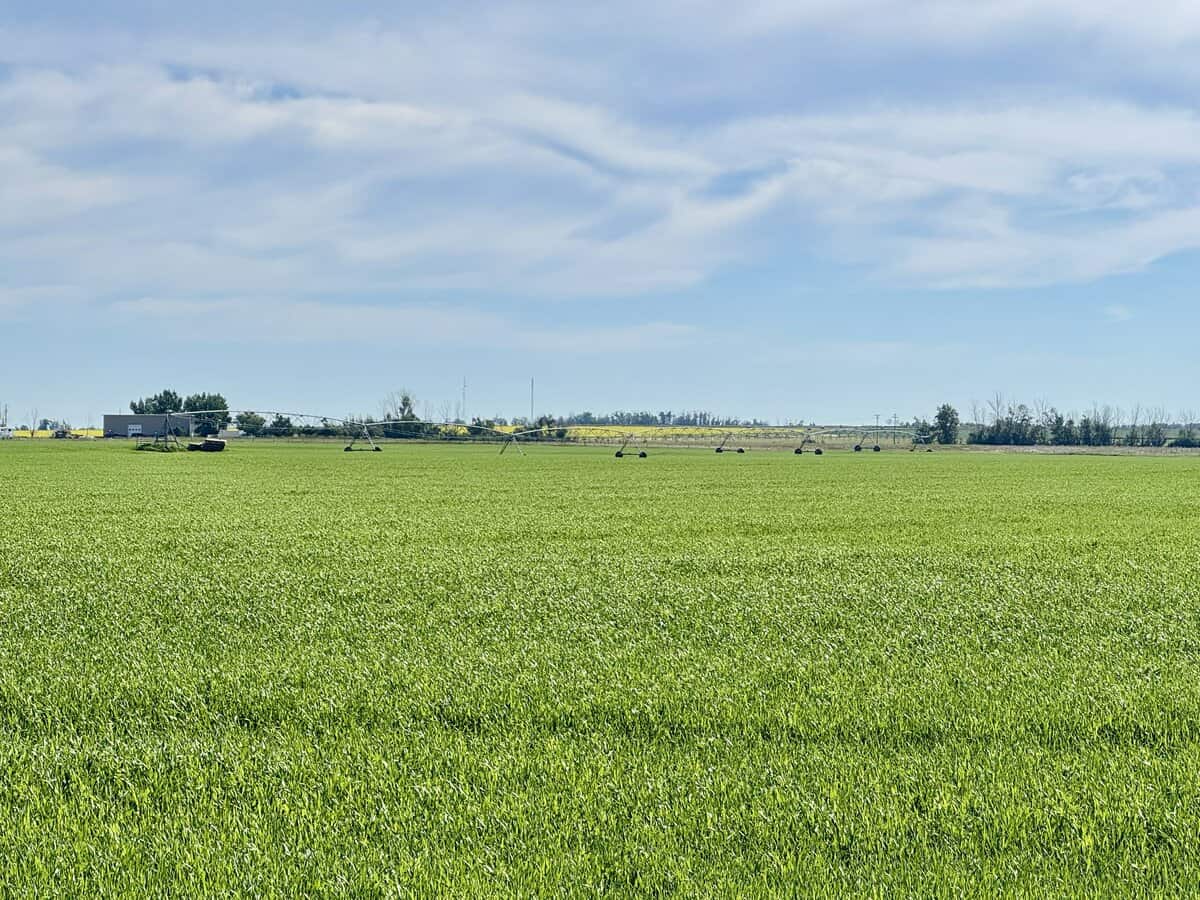 Listings for Austin Beasley