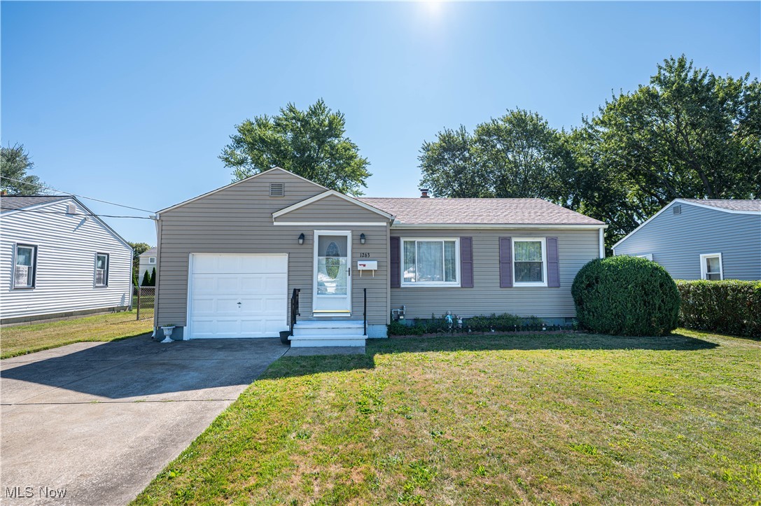 Listings for Miro Musa