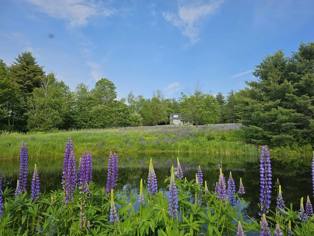 Grafton, VT