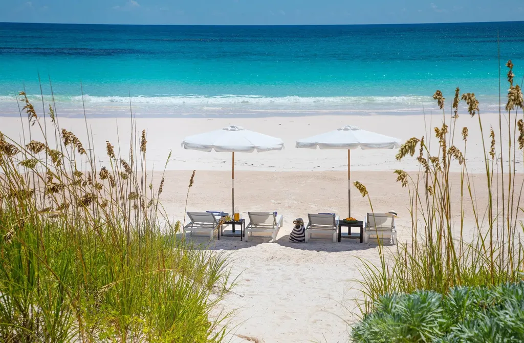 Beachfront Homes