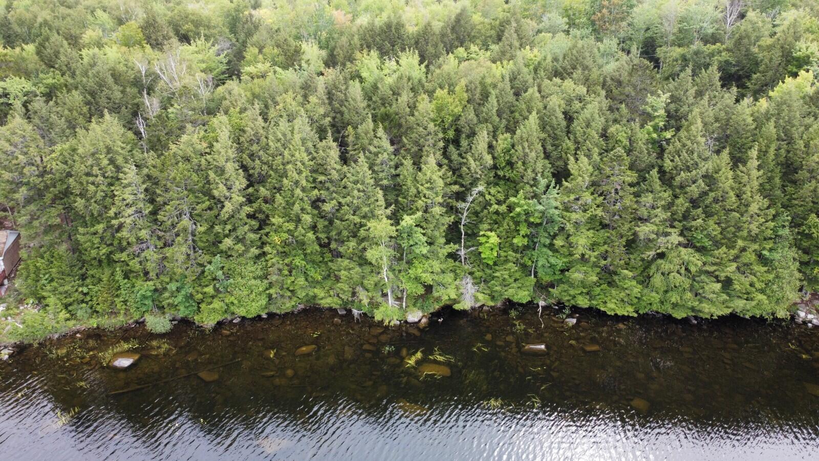 Listings for Andrea Greeno