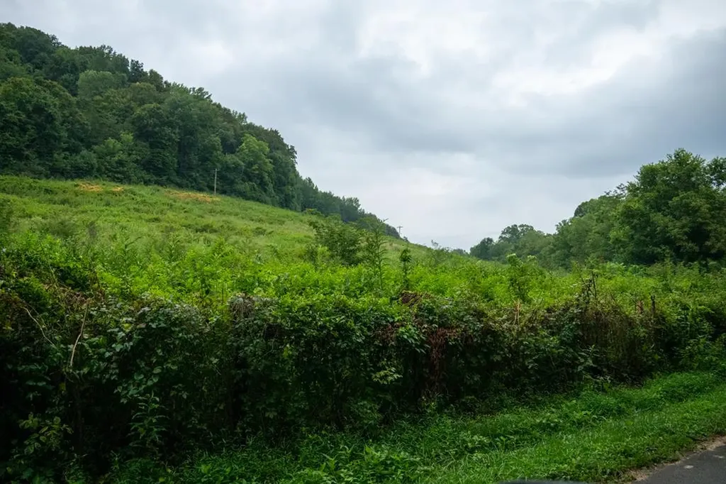 Listings for Brandon Korgan