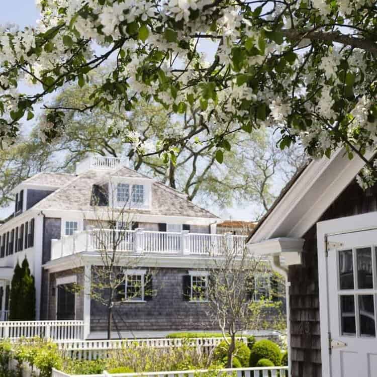 Black House Real Estate