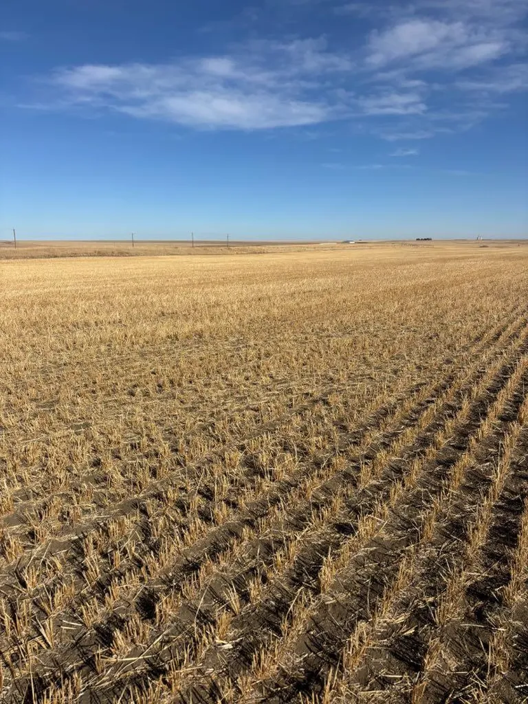 Listings for Chris Veenendaal