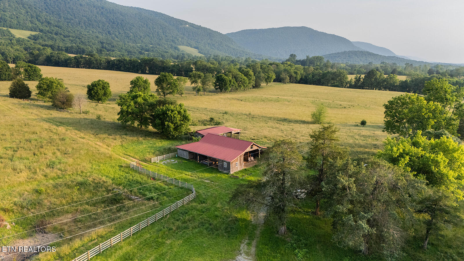 Listings for Jillian Stavely