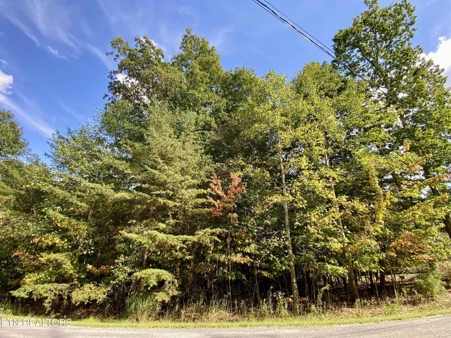 Listings for Katherine Perez