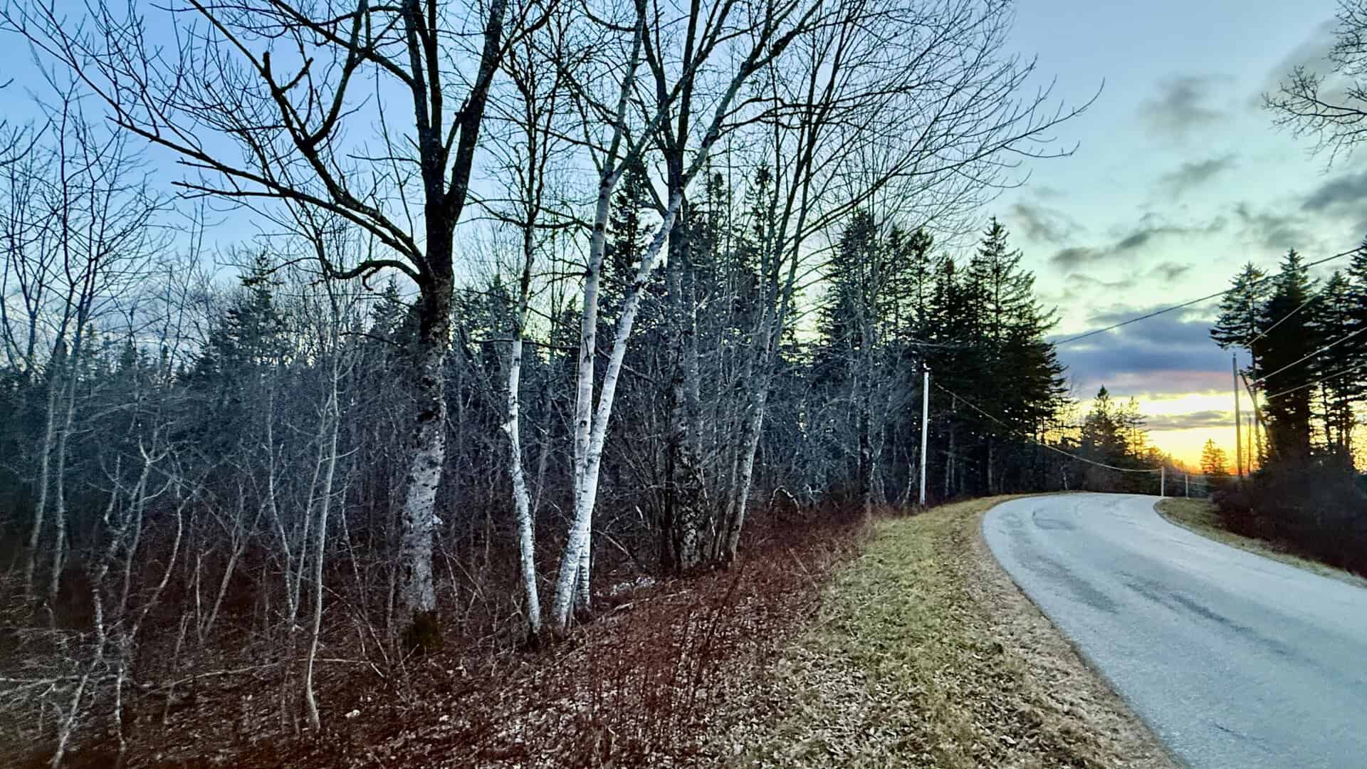 Trescott Twp